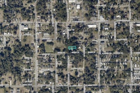 Land in DeLand, Florida № 2370853 - photo 3