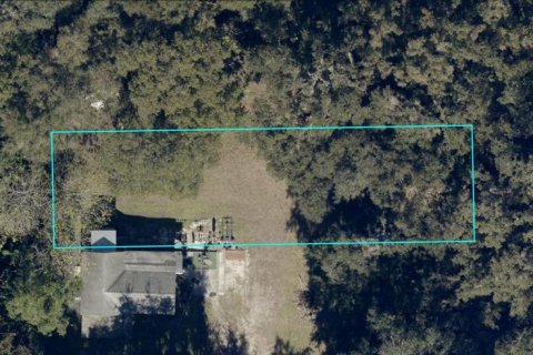 Land in DeLand, Florida № 2370853