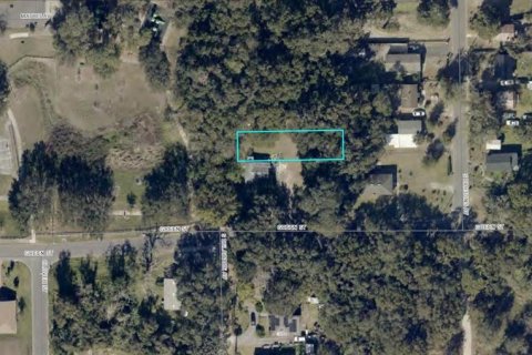 Land in DeLand, Florida № 2370853 - photo 2