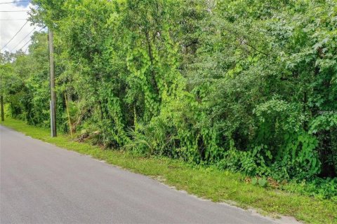 Terreno en venta en Orlando, Florida № 1534700 - foto 3