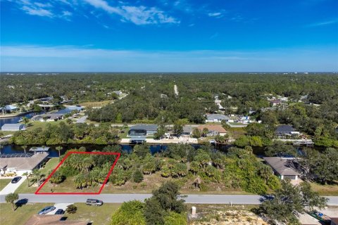 Land in Port Charlotte, Florida № 885557 - photo 2