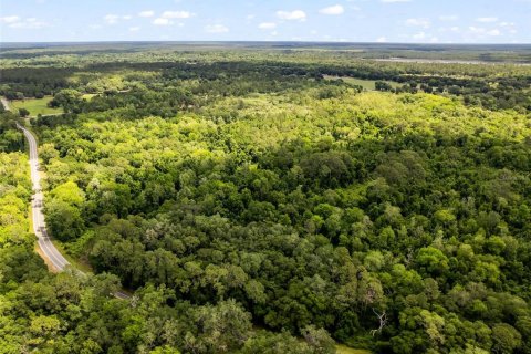 Terrain à Ocklawaha, Floride № 2103206