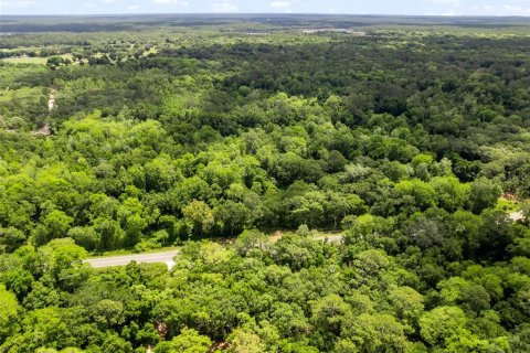 Terrain à vendre à Ocklawaha, Floride № 2103206 - photo 4