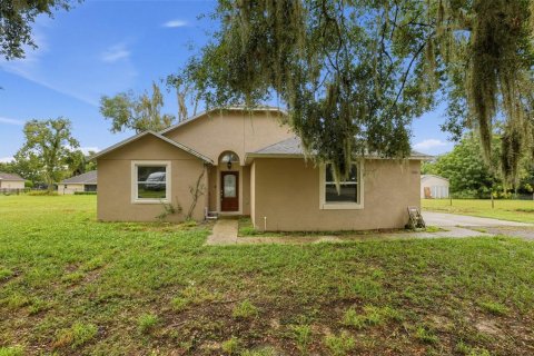 Villa ou maison à Mount Dora, Floride 4 chambres, 171.31 m2 № 2408145