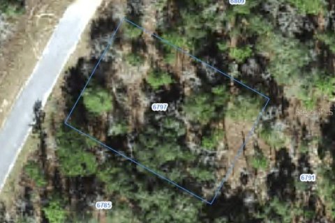Land in Citrus Springs, Florida № 2388267