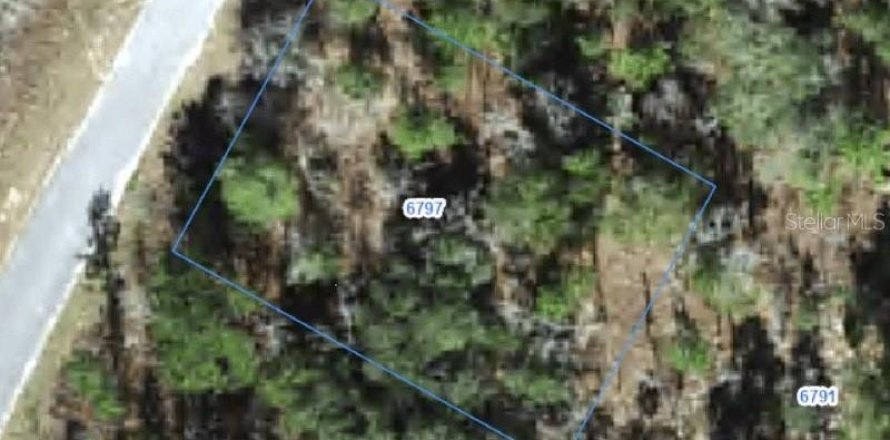 Land in Citrus Springs, Florida № 2388267