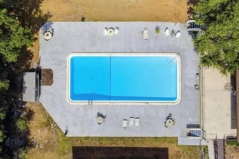 Copropriété à louer à Lakeland, Floride: 2 chambres, 78.04 m2 № 2409924 - photo 30