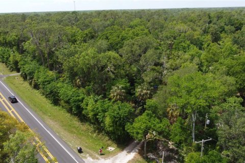 Land in Thonotosassa, Florida № 2383850