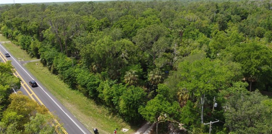 Land in Thonotosassa, Florida № 2383850