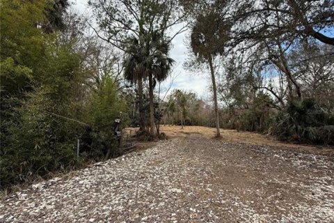 Land in Thonotosassa, Florida № 2383850 - photo 8