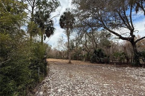 Land in Thonotosassa, Florida № 2383850 - photo 6