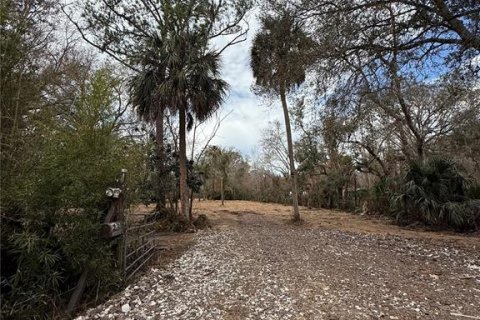 Land in Thonotosassa, Florida № 2383850 - photo 9