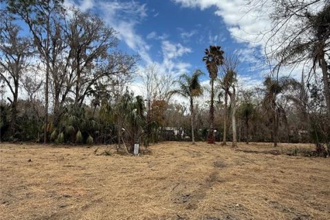 Land in Thonotosassa, Florida № 2383850 - photo 15