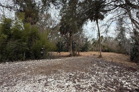 Land in Thonotosassa, Florida № 2383850 - photo 3