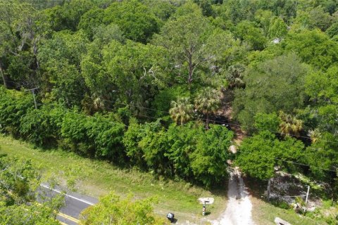Land in Thonotosassa, Florida № 2383850 - photo 2