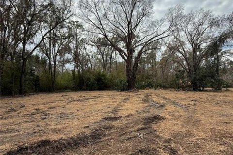 Land in Thonotosassa, Florida № 2383850 - photo 17