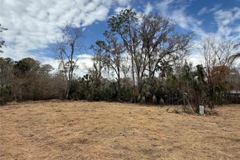 Land in Thonotosassa, Florida № 2383850 - photo 13