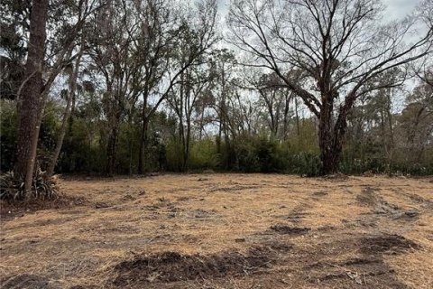 Land in Thonotosassa, Florida № 2383850 - photo 18