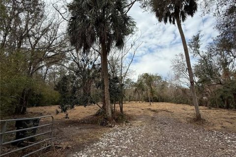 Land in Thonotosassa, Florida № 2383850 - photo 10