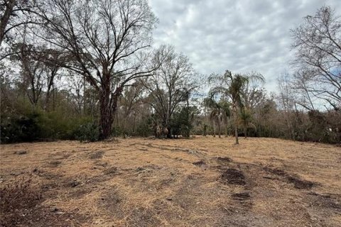 Land in Thonotosassa, Florida № 2383850 - photo 12