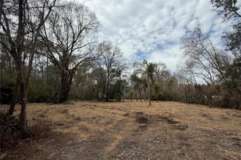 Land in Thonotosassa, Florida № 2383850 - photo 11