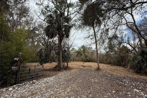 Land in Thonotosassa, Florida № 2383850 - photo 5