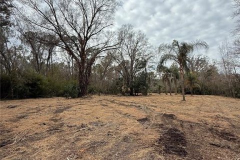 Land in Thonotosassa, Florida № 2383850 - photo 14