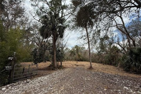 Land in Thonotosassa, Florida № 2383850 - photo 7
