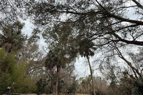 Land in Thonotosassa, Florida № 2383850 - photo 4