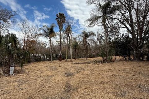 Land in Thonotosassa, Florida № 2383850 - photo 16