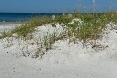 Land in Redington Shores, Florida № 1529303 - photo 13