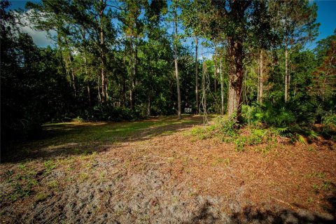 Terrain à vendre à Astor, Floride № 2415081 - photo 21