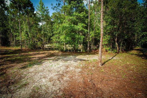 Terrain à vendre à Astor, Floride № 2415081 - photo 22