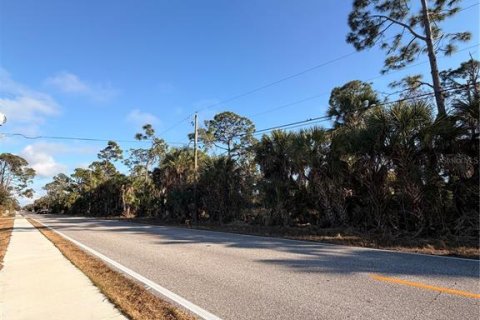 Land in Englewood, Florida № 2158799 - photo 4
