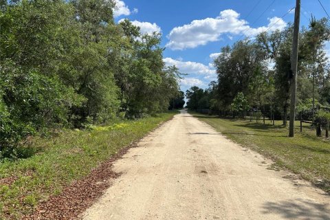 Land in Williston, Florida № 2162305 - photo 5