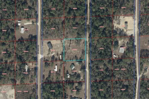 Land in Williston, Florida № 2162305 - photo 6