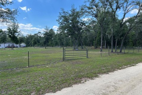 Land in Williston, Florida № 2162305 - photo 3