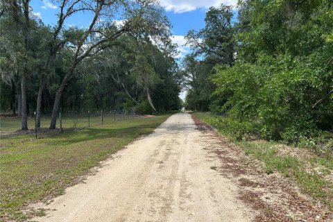 Land in Williston, Florida № 2162305 - photo 4