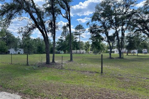 Land in Williston, Florida № 2162305 - photo 2