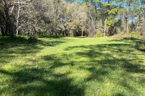 Land in Pierson, Florida № 1720853 - photo 6