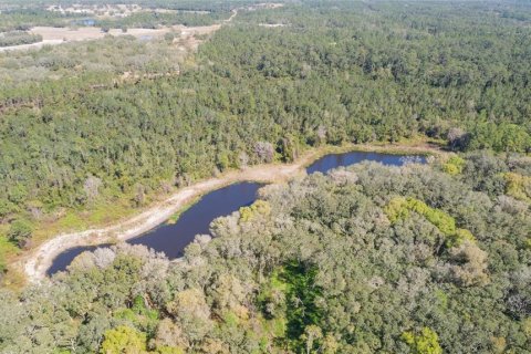 Land in Pierson, Florida № 1720853 - photo 1