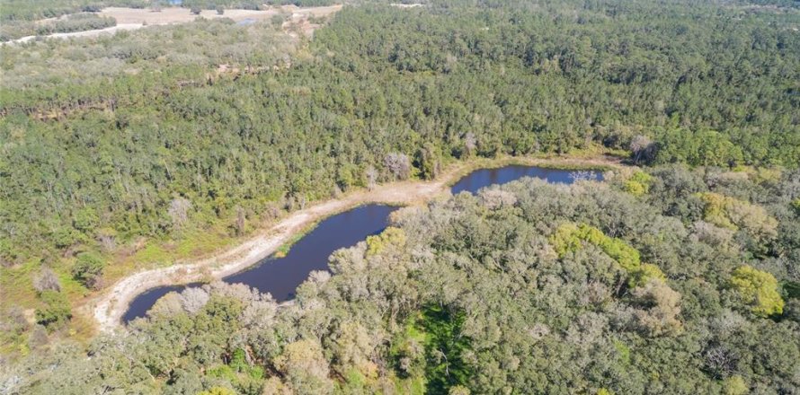 Land in Pierson, Florida № 1720853