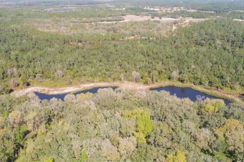 Land in Pierson, Florida № 1720853 - photo 20