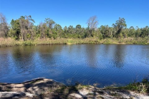 Land in Pierson, Florida № 1720853 - photo 5