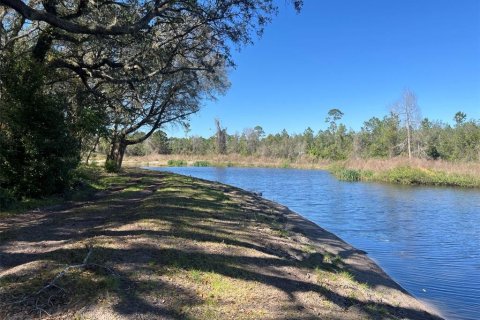 Land in Pierson, Florida № 1720853 - photo 12