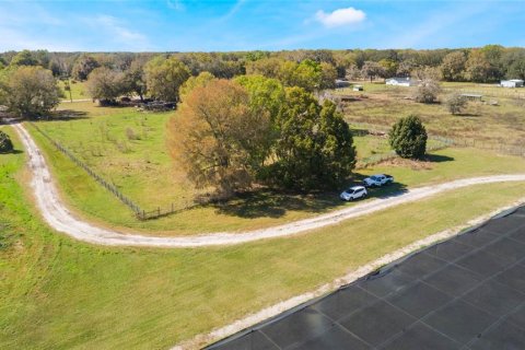 Land in Pierson, Florida № 1720853 - photo 25