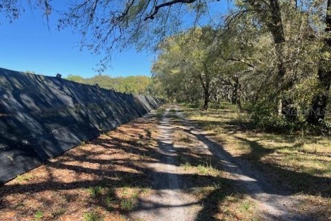 Land in Pierson, Florida № 1720853 - photo 15