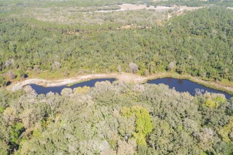 Land in Pierson, Florida № 1720853 - photo 21