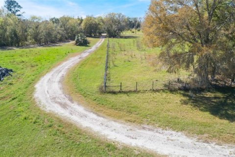 Land in Pierson, Florida № 1720853 - photo 26