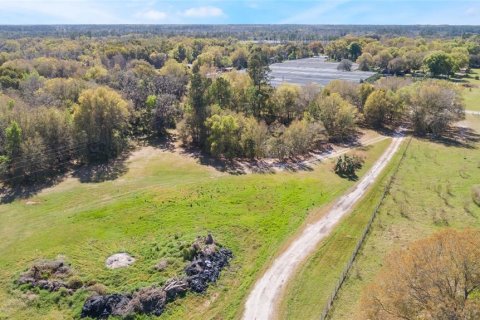 Land in Pierson, Florida № 1720853 - photo 24